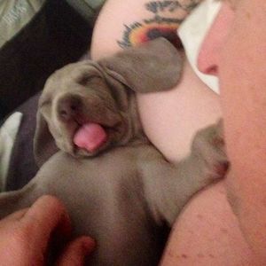 Meet your Posher, Aleisa